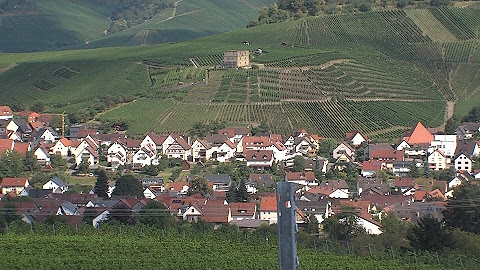 professionelle partnervermittlung schweiz partnervermittlung schweiz
