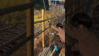 Download Lagu Inilah kehidupan yang menyenangkan, membangun pagar taman sendiri dengan tangan sendiri. MP3