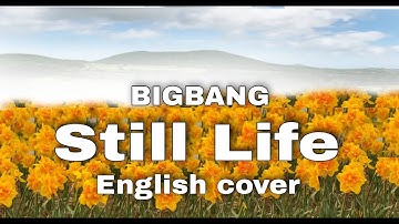 Still Life BIGBANG/English version/BIGBANG Still Life/#BIGNANGnewsong/Female version/#shorts