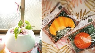 【DIY】100均のキャンドゥで新発売される可愛い雑貨アイテム9選♡～Cute sundries item to be released newly in candy.