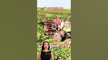 #fcnfm Professional-Grade Drying Room for Food, Pharma, and Herbal Industries