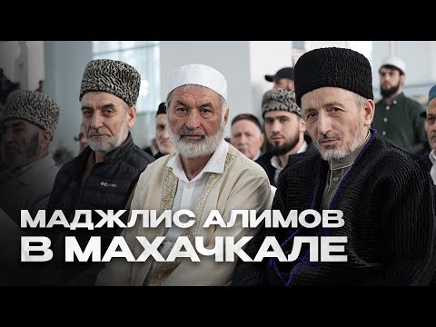 РЕСПУБЛИКАНСКИЙ МАДЖЛИС АЛИМОВ В МАХАЧКАЛЕ