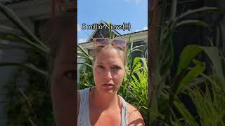 Thank You For Watching Now, Engage