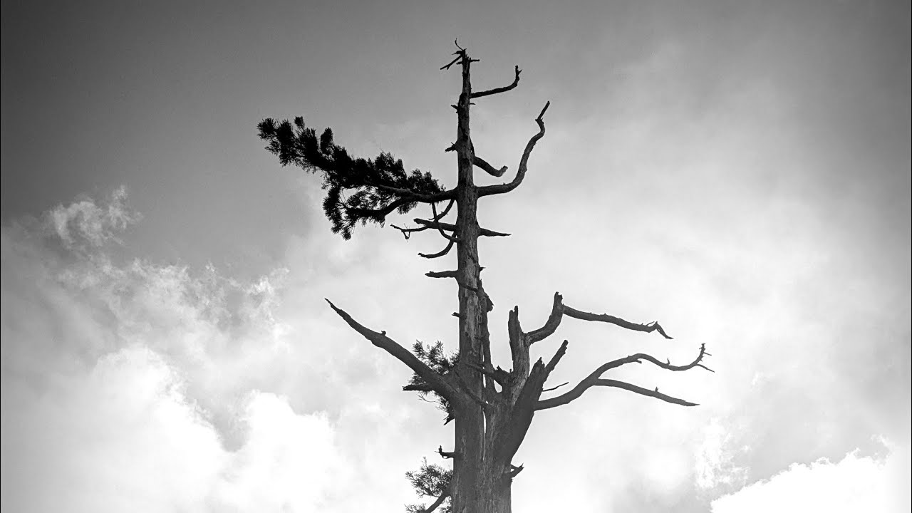 【霊峰英彦山~4年ぶりの上宮へ】1500年の歴史を持つ日本三大修験道の山