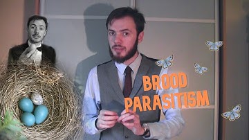 Brood Parasitism