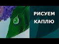 💧 Как нарисовать капли воды на листьях. Рисуем капли росы