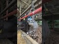 優香くんがお肉になるまで【残り2ヶ月】