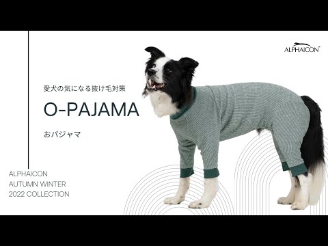 アルファアイコン公式チャンネル - YouTube