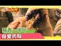 飄香一甲子 母愛肉粽  《進擊的台灣》第272集