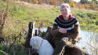 What Is An Ark? An Act Of Restorative Kindness To The Earth