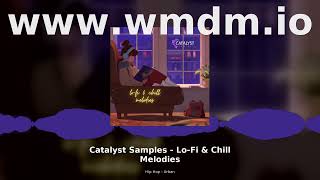 Catalyst Samples Lo-Fi Chill Melodies Hip Hop Urban Sample Pack Boi-1da Style