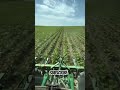 Hipnotiza demasiado..#parati #johndeere #tractor #agriculture#viral#ağrı#jd#farm