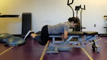 Flat Bench Reverse Hypers