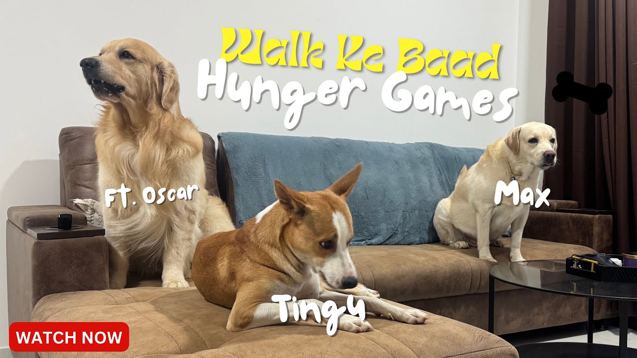 Walk K Bad Hunger Games