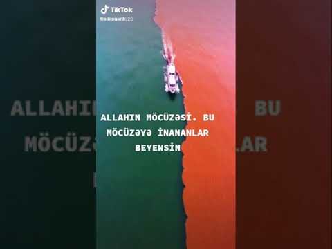 Allahın mocuzesi