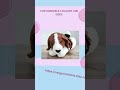 Crochet Plush Dog #handmadetoys #sargycreations