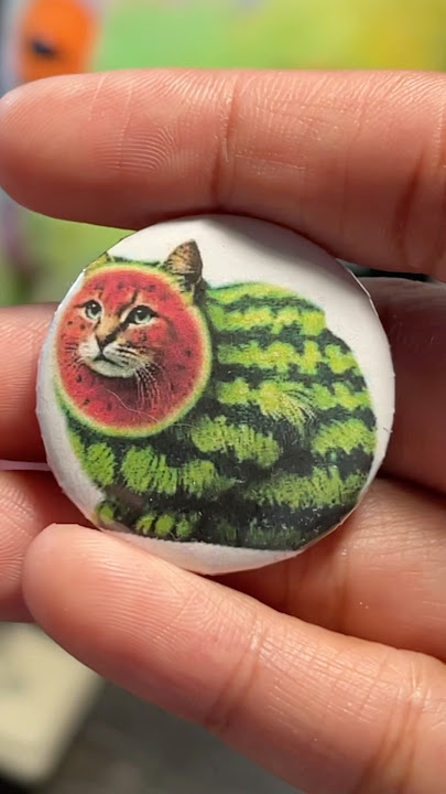 Miao miao miao pisi pisi 😾🍉 #italianbrainrot #brainrot #diy #miaomiao