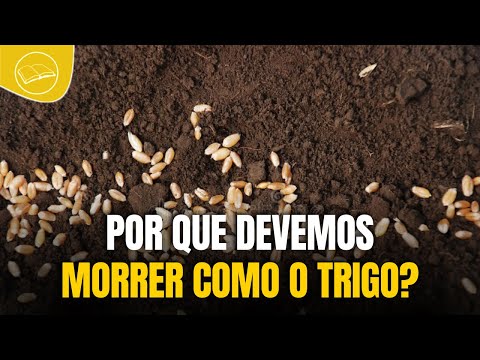 Por que devemos