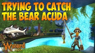 Wizard101: Trying To Catch The Bear Acuda