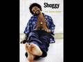 Shaggy - In The Summertime