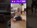 😳👶 バレて演技 |Acting after being found out #funny #cute #baby