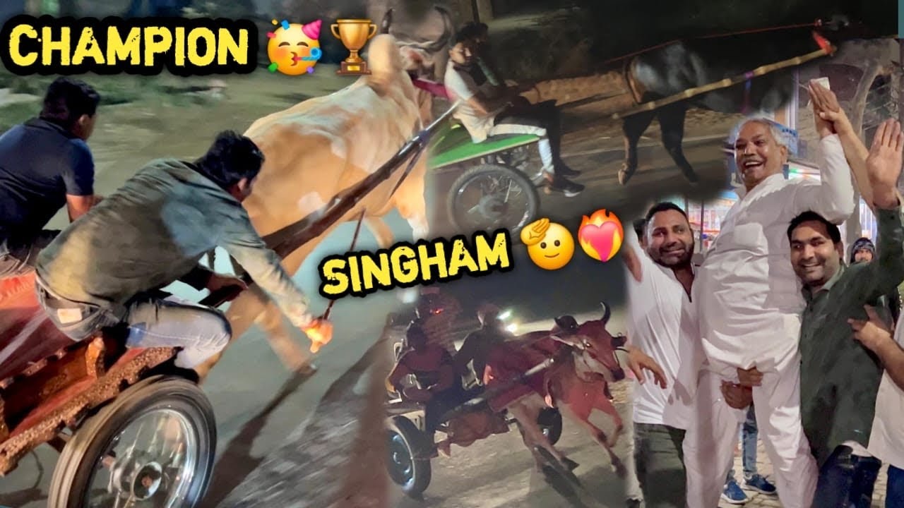 SINGHAM Ne Ganga Ji Pr Saare Record Tod Diye😨 Or Sabko Hara Kr Champion Ban Gya 🔥🥳( GREAT SINGHAM)