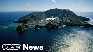 'No Signs of Life' After Volcano Erupts in New Zealand