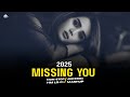 Missing You - Mashup 2025 | Heart Breaking Song | Non Stop Jukebox | Love Song HM LO-FI