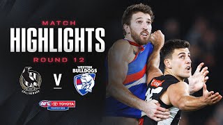 Collingwood v Western Bulldogs Highlights | Round 12, 2024 | AFL