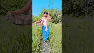 প্রশান্ত দাসের ছন্দের কথা