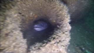 Submarino U1277 13Ago2016