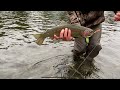 Trout/salmon combo fly fishing trip to the Kenai river. Catch and cook Red Salmon