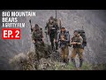 Big mountain bears  ep 2   gritty 4k film