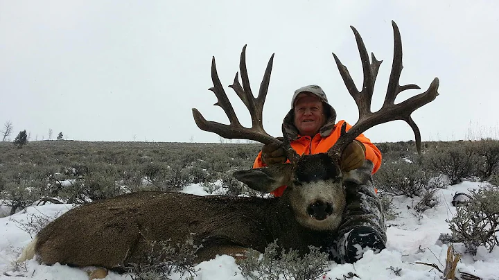 244" Colorado Mule Deer Hunt - Guinn Crousen - Mul...