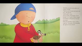 Caillou Goes Birdwatching