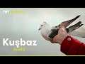 Analiz "Kuşbaz" | TRT Belgesel
