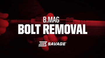 Bolt Removal: Savage B.MAG