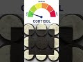 High VS Low Cortisol (Part 6)