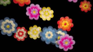 Colorful Flowers Transitions - Motion Graphics | Animation Videos | No Copyright.