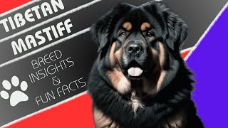 Tibetan Mastiff | World's most expensive dog
