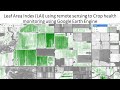 Leaf area index lai using remote sensing to crop health monitoring using google earth engine
