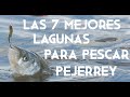 TOP 7 DE LAS MEJORES LAGUNAS PARA PESCA DEL PEJERREY - #PESCA #PEJERREY #LAGUNA