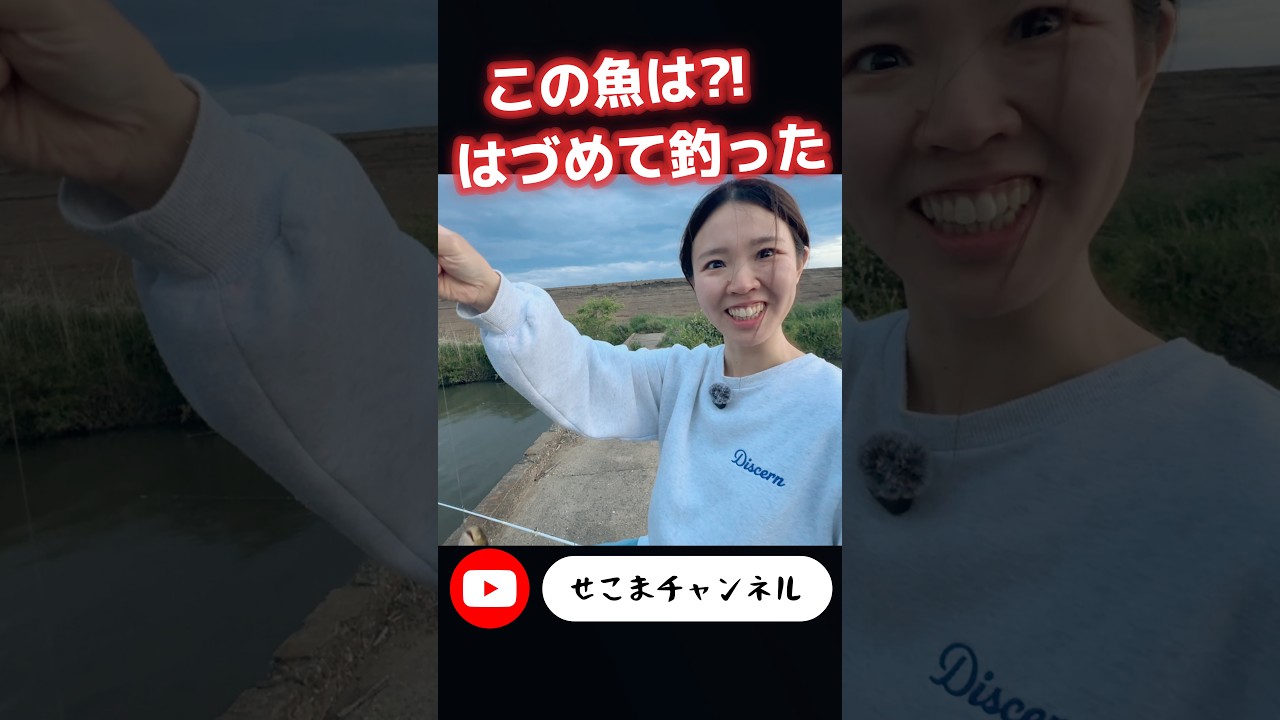 この魚は⁈はづめて釣った。