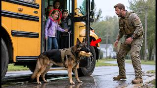 The K9 Blocked The School Bus Door And Wouldn't Move — The Navy SEAL Realized Why Just In Time