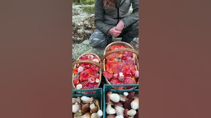 ☠️ ВОТ ЧТО БУДЕТ, ЕСЛИ СЪСТЬ МУХОМОРЫ! 🍄 СМОТРЕТЬ ДО КОНЦА!