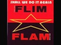 Tolga flim flam balkan  shall we do it again hashe bashi remix