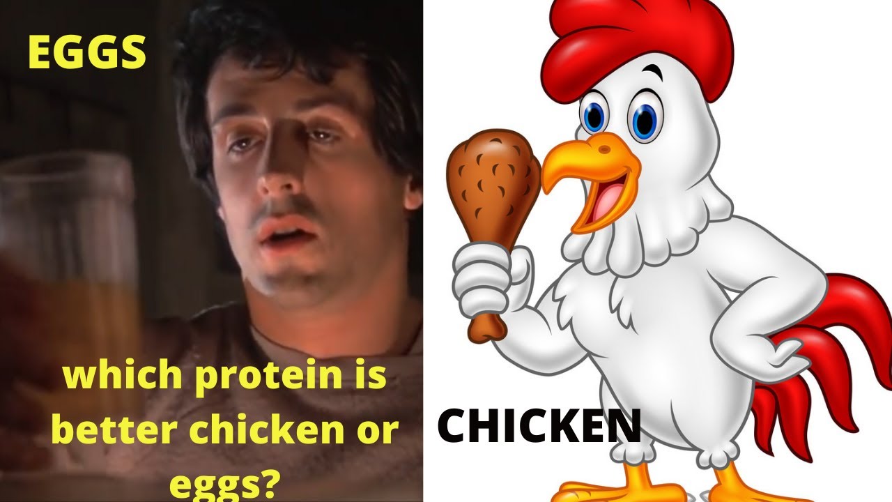 Chicken breast vs Eggs protein Which protein source is better