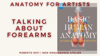 Anatomy for Artists: Talking about forearms