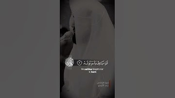 رعد الكردي - سورة الإخلاص  #رعد_الكردي#سورة_الإخلاص #تلاوة  #islam #quran  #قرآن_كريم #raadalkurdy