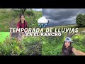 ASÍ DE BONITO ES EL TIEMPO DE LLUVIAS EN EL RANCHO 🌾🍃🌧 GUANAJUATO MX